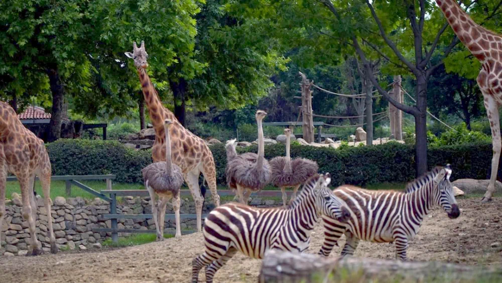 Bursa Hayvanat Bahçesi & Botanik Park görünümü