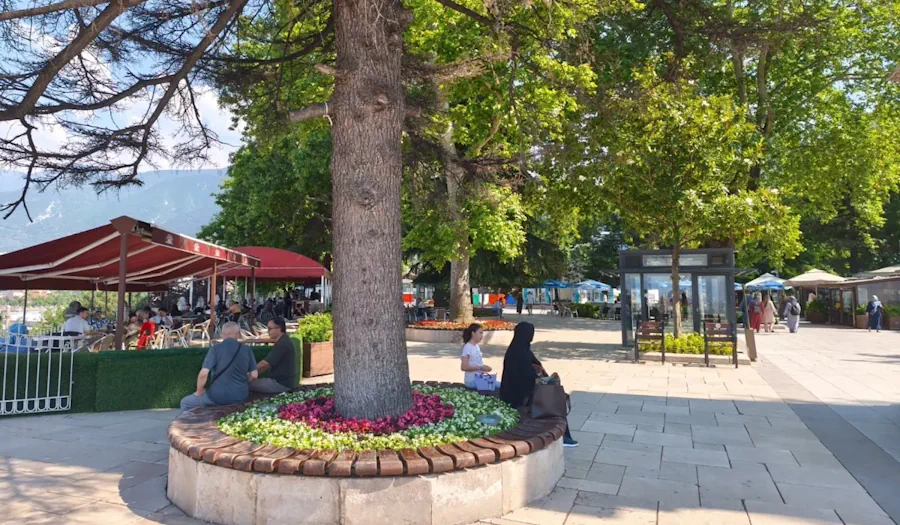 Tophane District & Park view