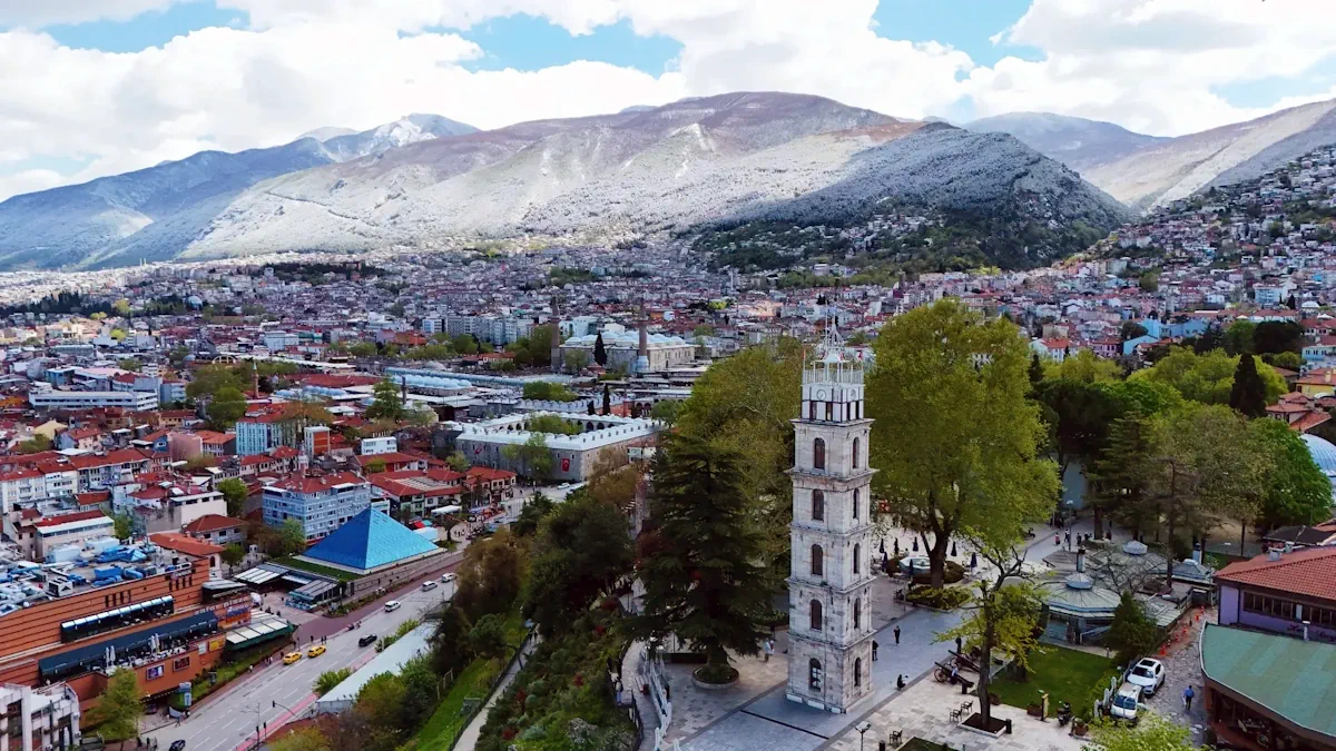 Tophane District & Park view