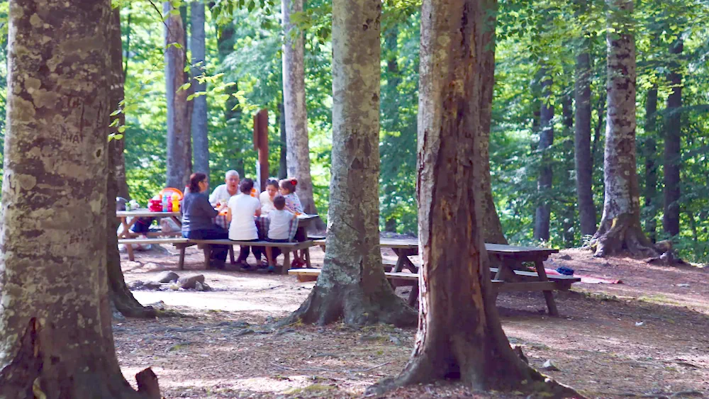 Bursa Suuçtu Şelalesi piknik alanı, ahşap masalar ve yüksek ağaçlar